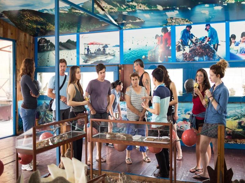Charm Boutique Cruise Ξενοδοχείο Χα Λονγκ Εξωτερικό φωτογραφία